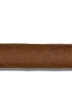 Rocky Patel The Edge Corojo Toro Zigarren