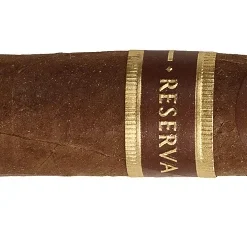 Joya de Nicaragua Rosalones 650 Toro Zigarren