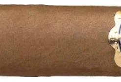 Casa de Torres Robusto Zigarren