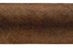 RoMa Craft Wunder|Lust Robusto Zigarren