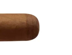 VegaFina Short Robusto Zigarren