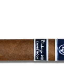 Rocky Patel Vintage 2003 Robusto Zigarren