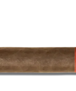 Arturo Fuente Don Carlos Presidente Zigarren