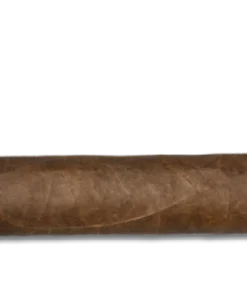 Arturo Fuente Hemingway Classic Zigarren