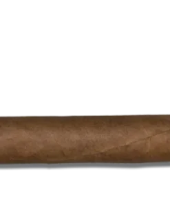 Arturo Fuente Hemingway Masterpiece Zigarren