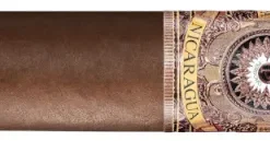 Perdomo Nicaragua BBA Sun Grown Robusto Zigarren