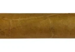 Joya de Nicaragua Viajante Zigarren