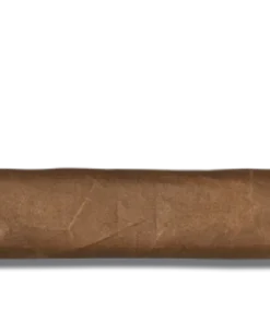 Padron 1964 Anniversary Series Natural Diplomatico Zigarren