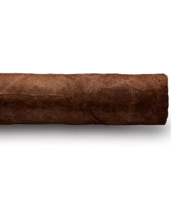 Asylum Schizo Zigarre Robusto