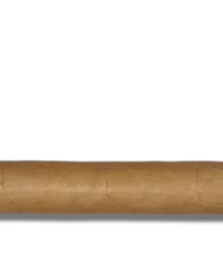 Blanco Platinum Zigarren