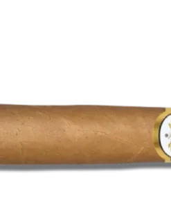Don Diego Torpedo Zigarren