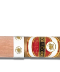 Flor de Copan Short Robusto Zigarren