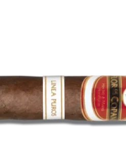Flor de Copan Linea Puros Robusto Zigarren