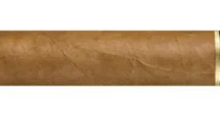 Ashton Cabinet No. 8 Zigarren