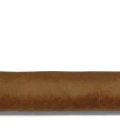 Zigarre Rocky Patel The Edge Lite Robusto