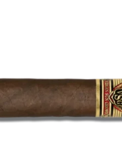 Ashton VSG Robusto Zigarren