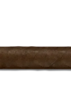 Ashton VSG Spellbound Zigarren