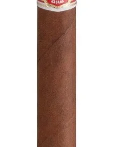 Hoyo de Monterrey Zigarre Hoyo du Maire
