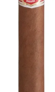 Hoyo de Monterrey Zigarre Palmas Extra