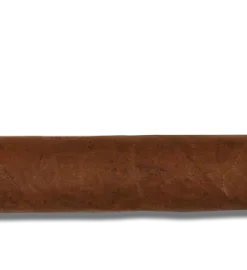 Zigarre Rocky Patel The Edge Nicaragua Toro