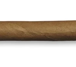 Zigarre Davidoff Signature Ambassadrice