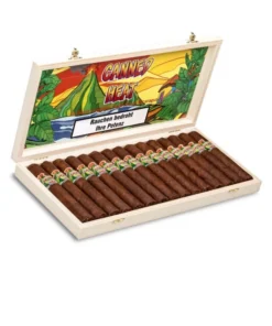 Zigarre Canned Heat Nicaragua Gran Robusto