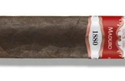 Casa Turrent Serie 1880 Double Robusto Maduro Zigarren