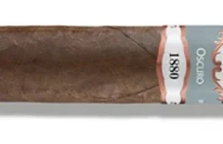 Casa Turrent Serie 1880 Double Robusto Oscuro Zigarren
