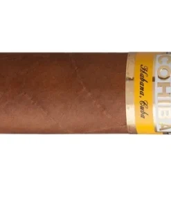 Cohiba Robusto Zigarre