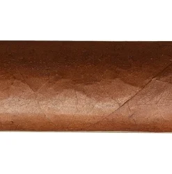 Rafael Gonzalez Coronas de Lonsdales Zigarren