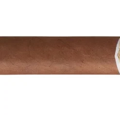 Hoyo de Monterrey Palmas Extra Zigarren