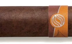 AVO Seasons Fall 2023 Limited Edition Zigarren