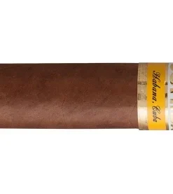 Cohiba Siglo II Zigarre