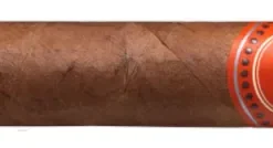VegaFina Nicaragua Terra Zigarren