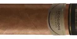 La Aurora Escogidos Gran Toro Zigarren