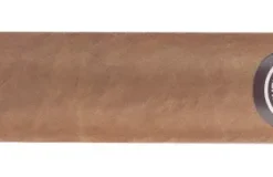 Montecristo Brillantes Year of the Dragon Zigarren