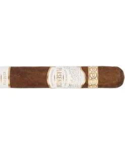 Plasencia Reserva Original Robusto Zigarren