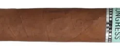 Platinum Nova Congress Lancero Zigarren