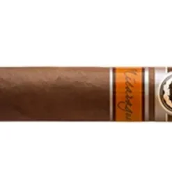 VegaFina Nicaragua Gran Toro Zigarren