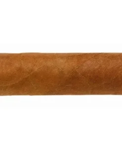 Hoyo de Monterrey Hoyo du Prince