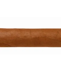 Hoyo de Monterrey Hoyo des Dieux
