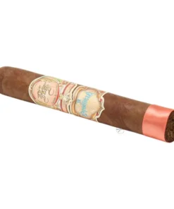 My Father LA PROMESA Robusto Grande