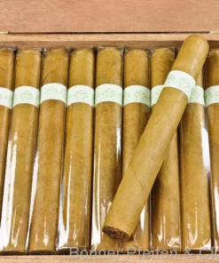 Blanco Zigarren Diplomats