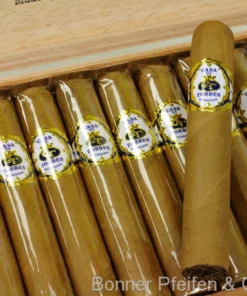 Casa de Torres Zigarren Robusto
