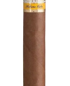 Cohiba Zigarren Siglo III
