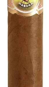 Bolivar Zigarren Royal Coronas