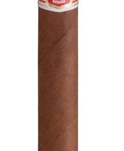 Hoyo de Monterrey Zigarren du Maire