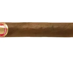 Saint Luis Rey Churchills