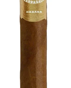 Por Larrañaga Zigarren Petit Corona