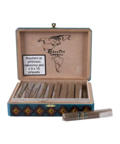 TCN Traveler America Robusto 1/20